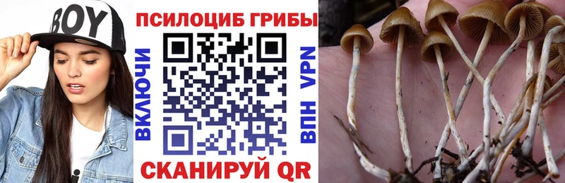 Купить где  Вихоревка  Галлюциногенные грибы мухоморы 